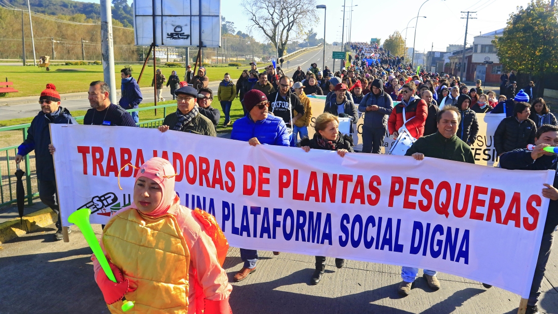 Industriales y la Ley de la Jibia: Han ignorado la realidad regional y ha primado la violencia