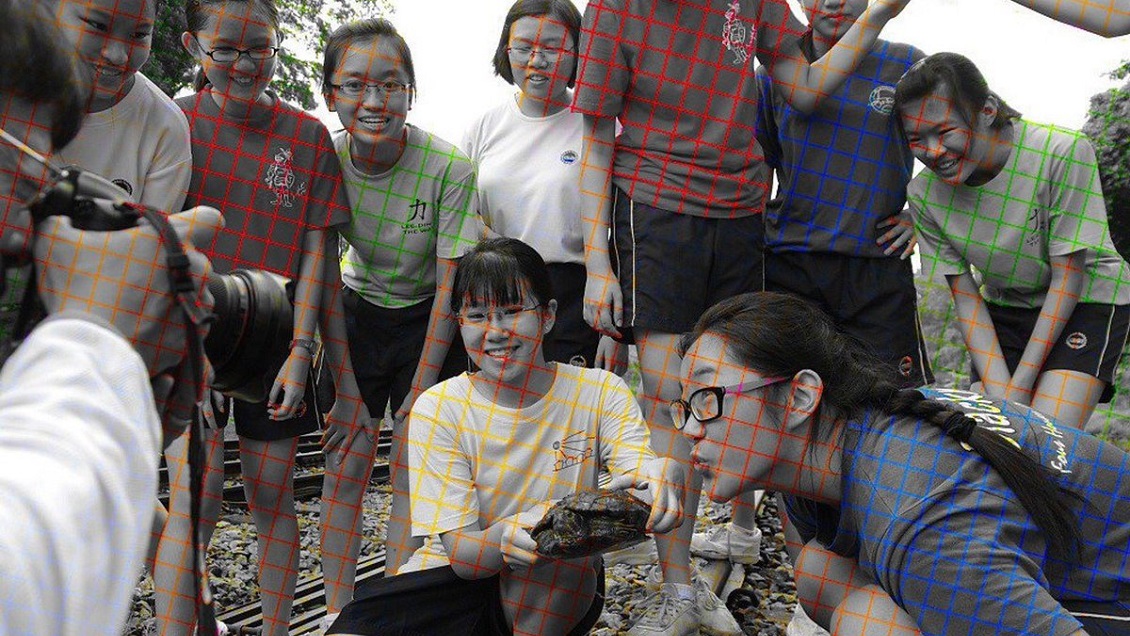 La ilusión óptica que abrió debate en internet: ¿Es en blanco y negro o a color?