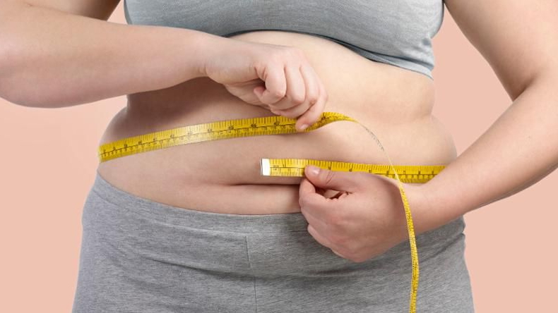 Científica chilena creó modelo que predice la obesidad en el mundo