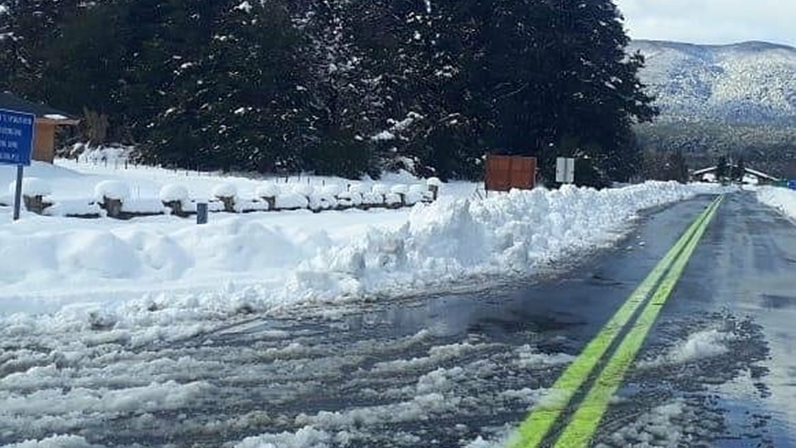 Paso internacional Cardenal Samoré estará cerrado para camiones por cuatro semanas
