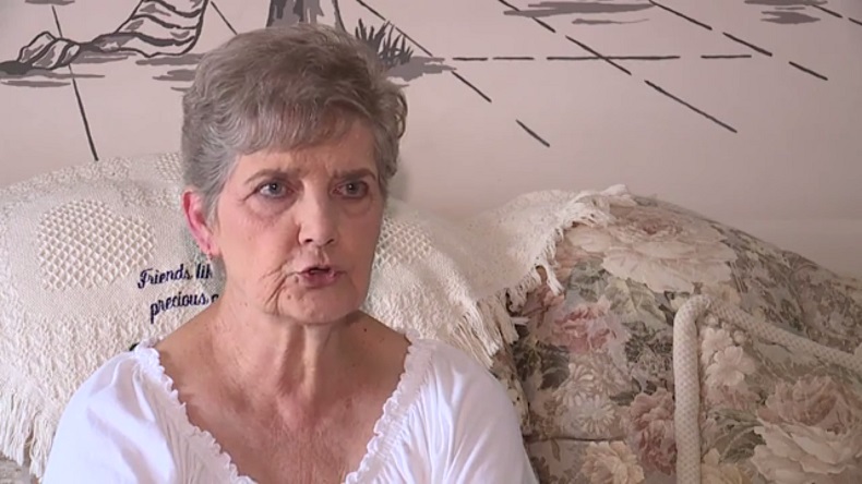 Mujer de 79 años fue sentenciada a prisión por alimentar a gatos abandonados