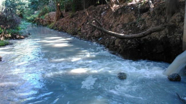 Investigan responsabilidad de Esval en derrame de sólidos en el estero Las Cenizas de Valparaíso