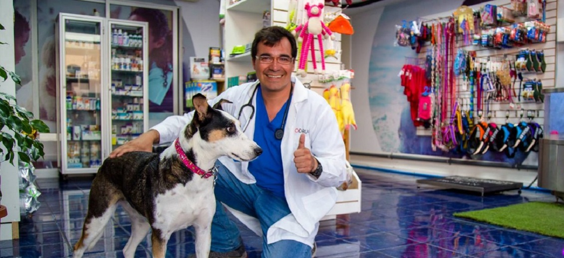 Hacen llamado para dar con vehículo que atropelló a veterinario y su mascota en Iquique