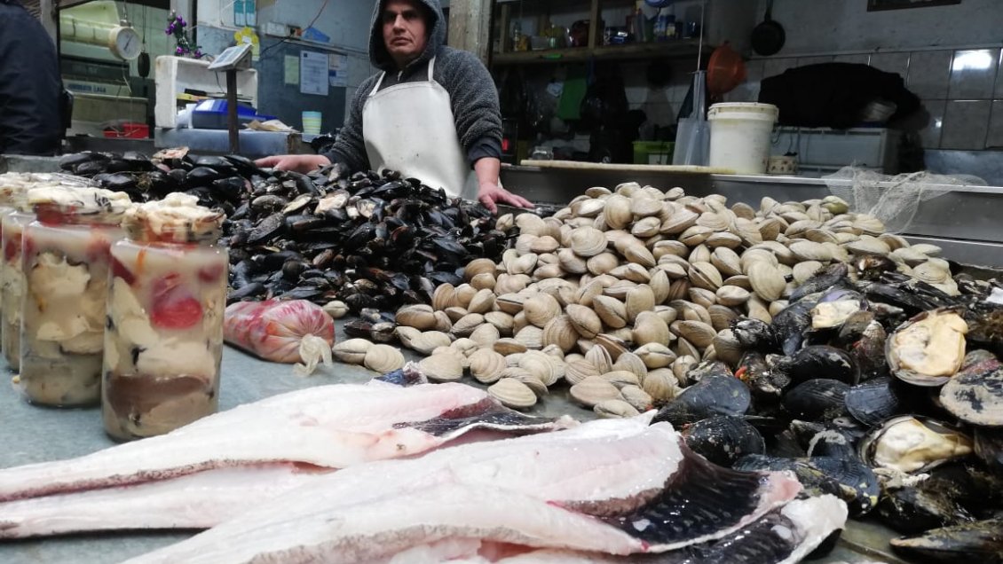 Comenzó la veda de la merluza austral entre Los Lagos y Magallanes