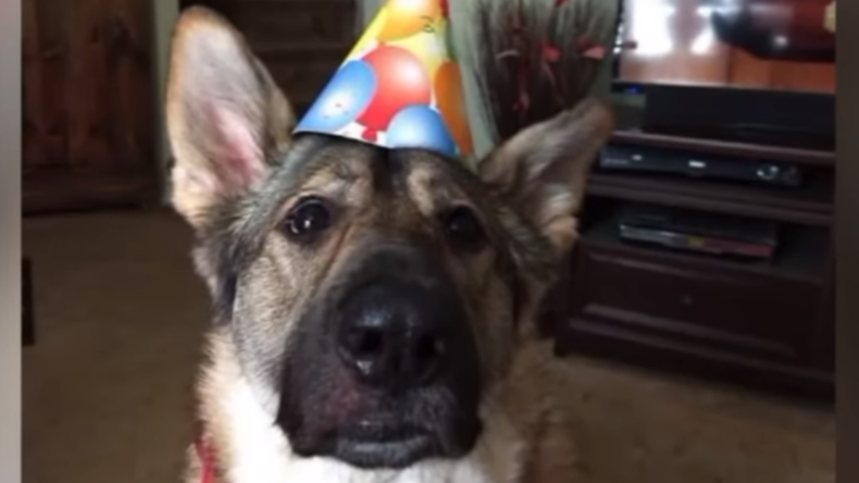 Mujer sufrió amputación de piernas y brazos por lamida de su perro