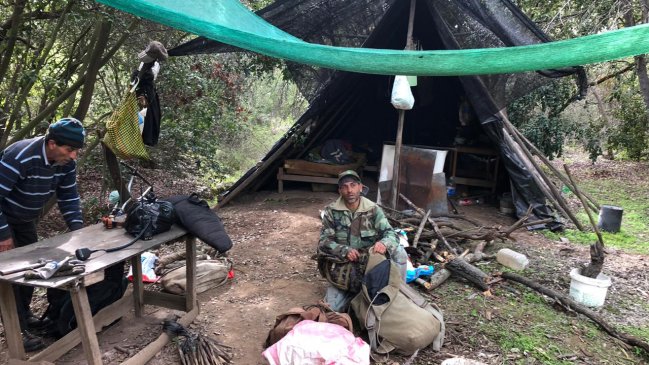 Detienen a dos hombres por caza de conejos y tala de árboles nativos en Valparaíso