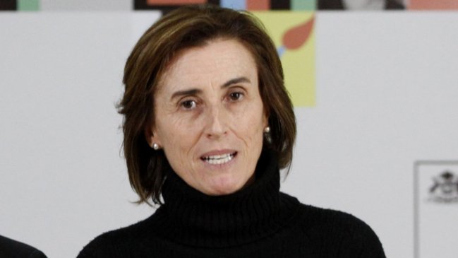 Cubillos tras agresión a hijo de diputada Girardi: Las universidades se tienen que hacer cargo