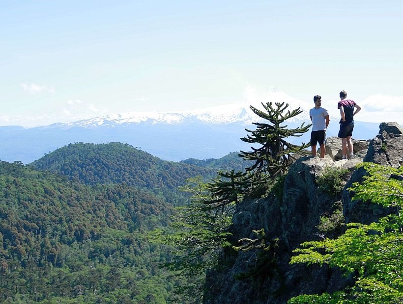 Muchacha de 23 años murió al caer a una quebrada en Pucón