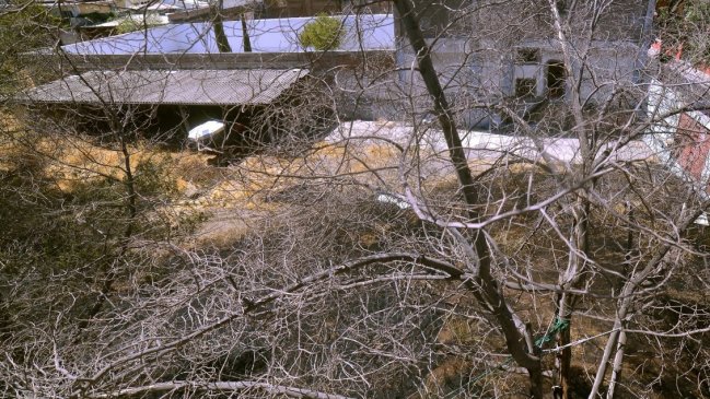 Contribuciones: SII actualizará catastro de sitios eriazos y predios agrícolas