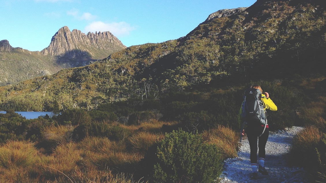 Chilena fue apuñalada en hostal de Australia tras agresión sexual: 