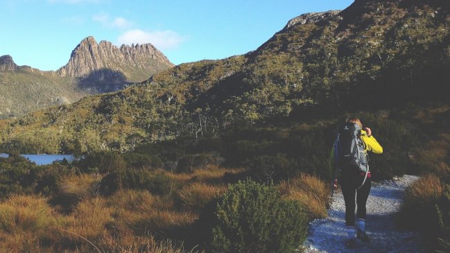 Chilena fue apuñalada en hostal de Australia tras agresión sexual: 