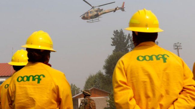 Contraloría detectó irregularidades en Conaf de La Araucanía