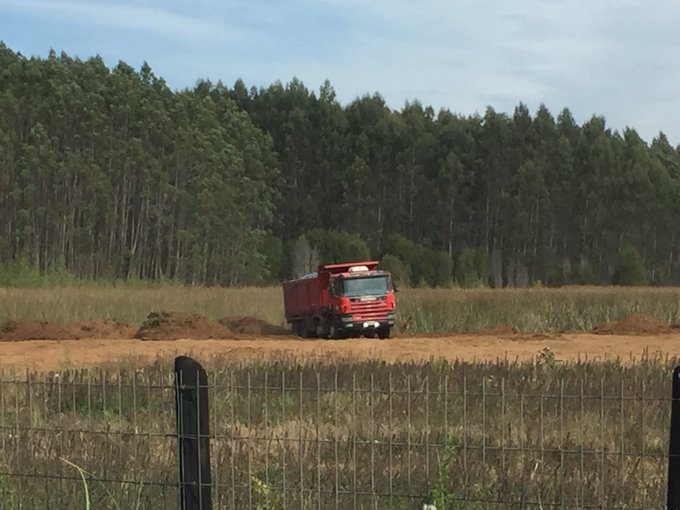 Tribunal Ambiental ordenó detención de rellenos en tres humedales de Valdivia