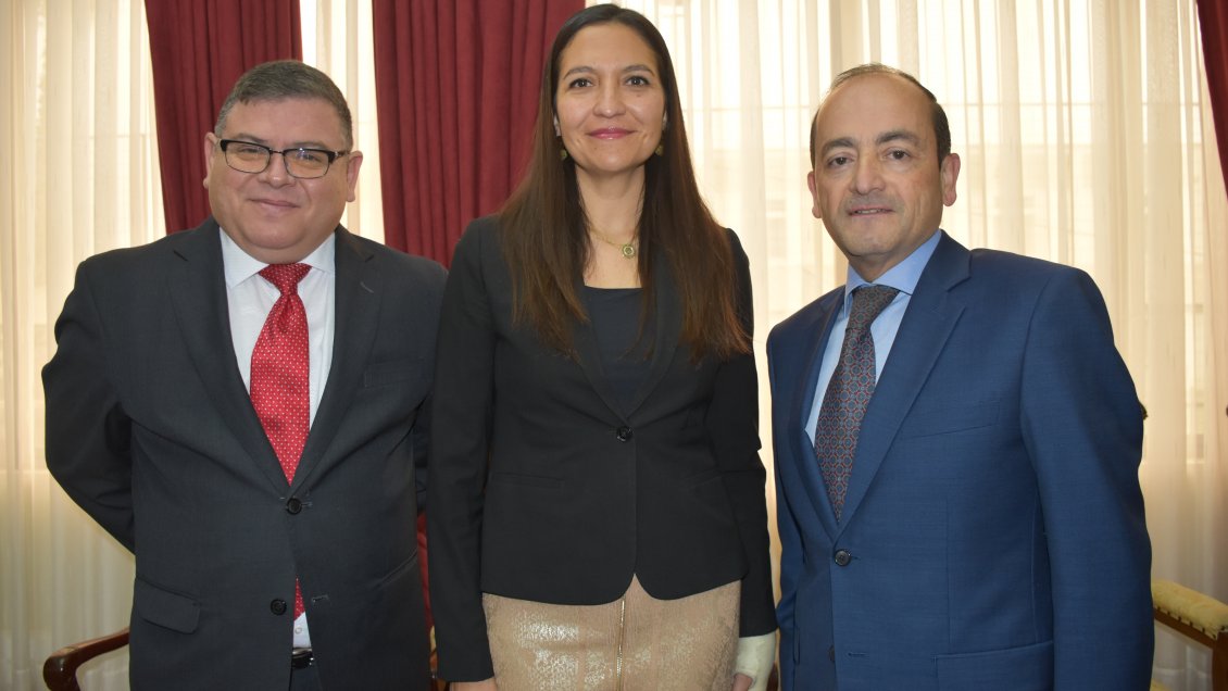 Romina Oliva asumió como nueva jueza del Juzgado de Garantía de Arica