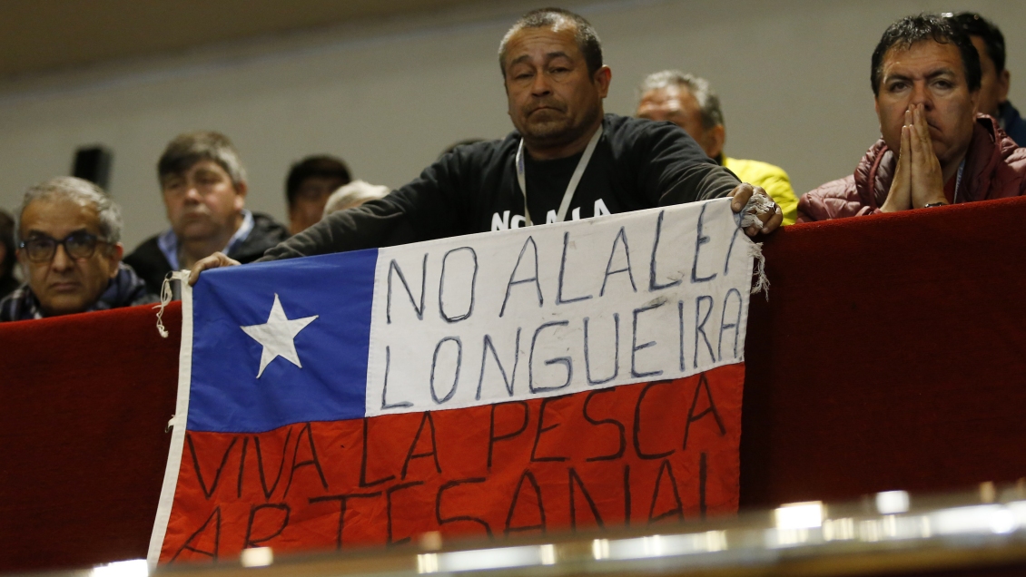 Cámara de Diputados rechazó proyecto para retrasar entrada en vigencia de la ley de la jibia