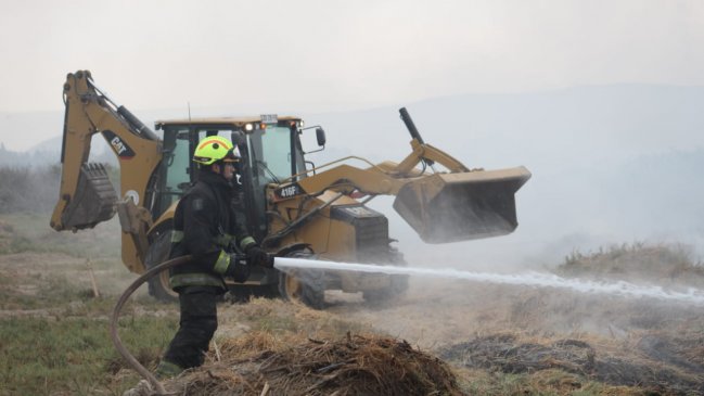 Reiterados incendios en el Humedal del Río Lluta preocupan a las autoridades de Arica