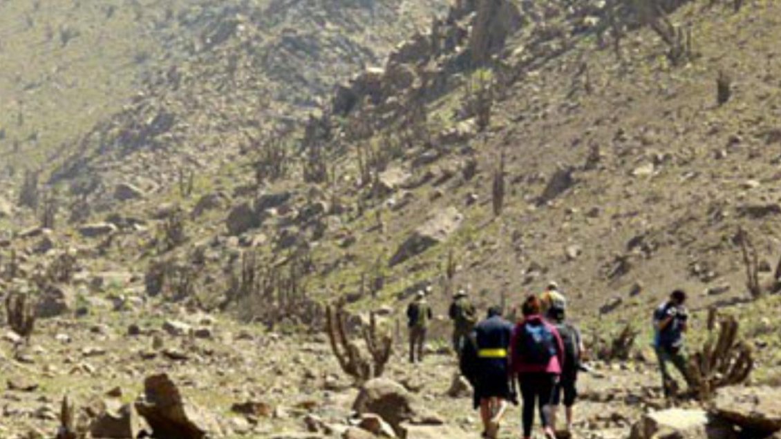 Restringen acceso de vehículos a la Reserva Nacional la Chimba en Antofagasta