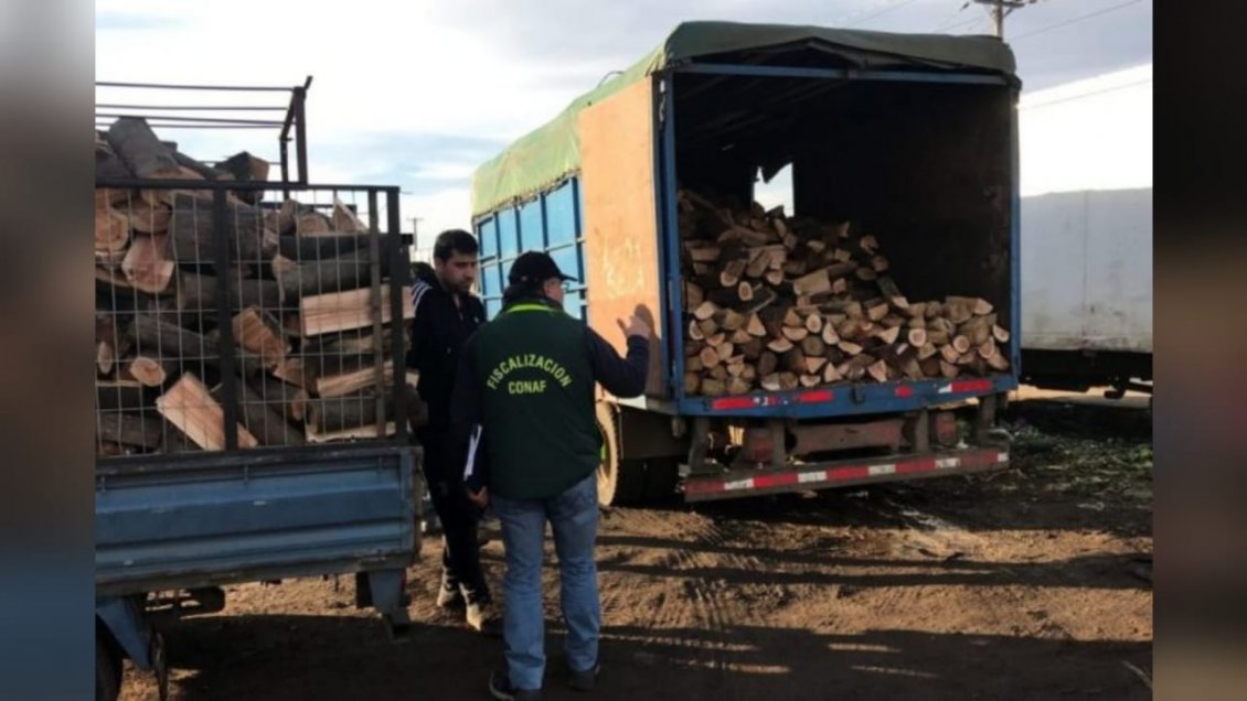 Multan a sujetos que vendían leña húmeda en Los Ángeles