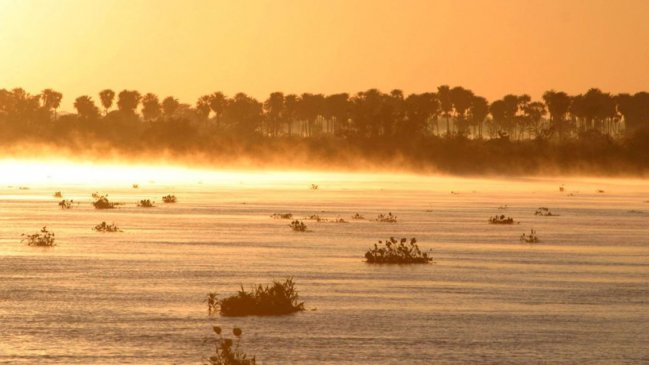 Desastre ecológico: Incendio arrasa 21 mil hectáreas del Pantanal paraguayo