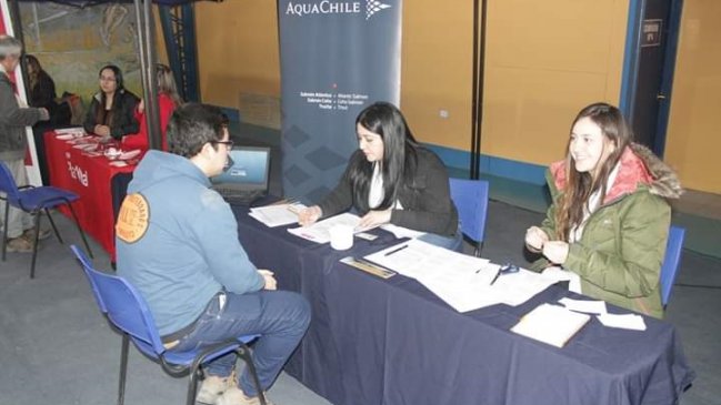 Primera Feria de Empleo y Emprendimiento de Puerto Natales ofreció 150 cupos laborales