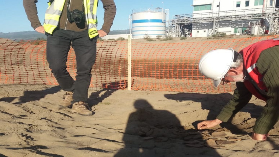 Hallazgos arqueológicos en megaproyecto de Arauco inquietan a comunidades mapuche