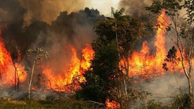 Bolsonaro insinúa que las ONG están detrás de los incendios en Amazonía