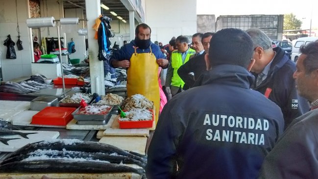 Concepción: Reabren pescaderías de la Vega Monumental tras hallazgo de fecas de ratón