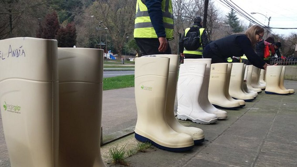 Botas blancas, banderas negras y aceite de jibia: Trabajadoras de la pesca funan a diputados
