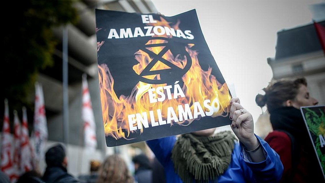 Efecto Amazonas: Sube presión sobre Bolsonaro y proponen boicotear carnes brasileñas