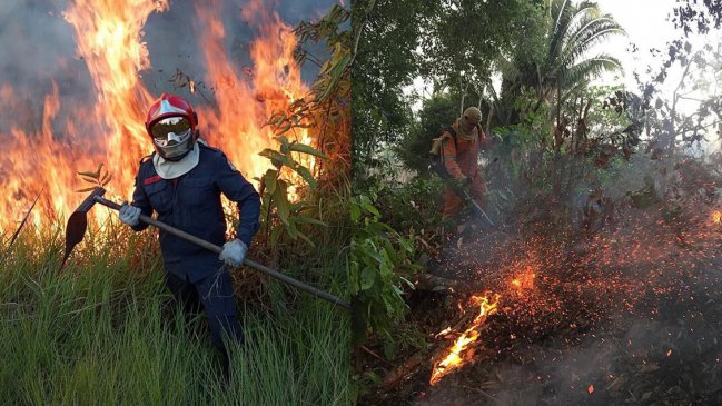 El mundo exige salvar la Amazonía, pulmón del planeta asfixiado en llamas