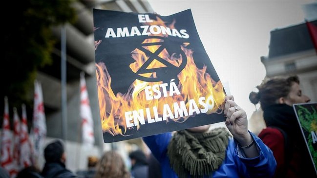 Efecto Amazonas: Sube presión sobre Bolsonaro y proponen boicotear carnes brasileñas