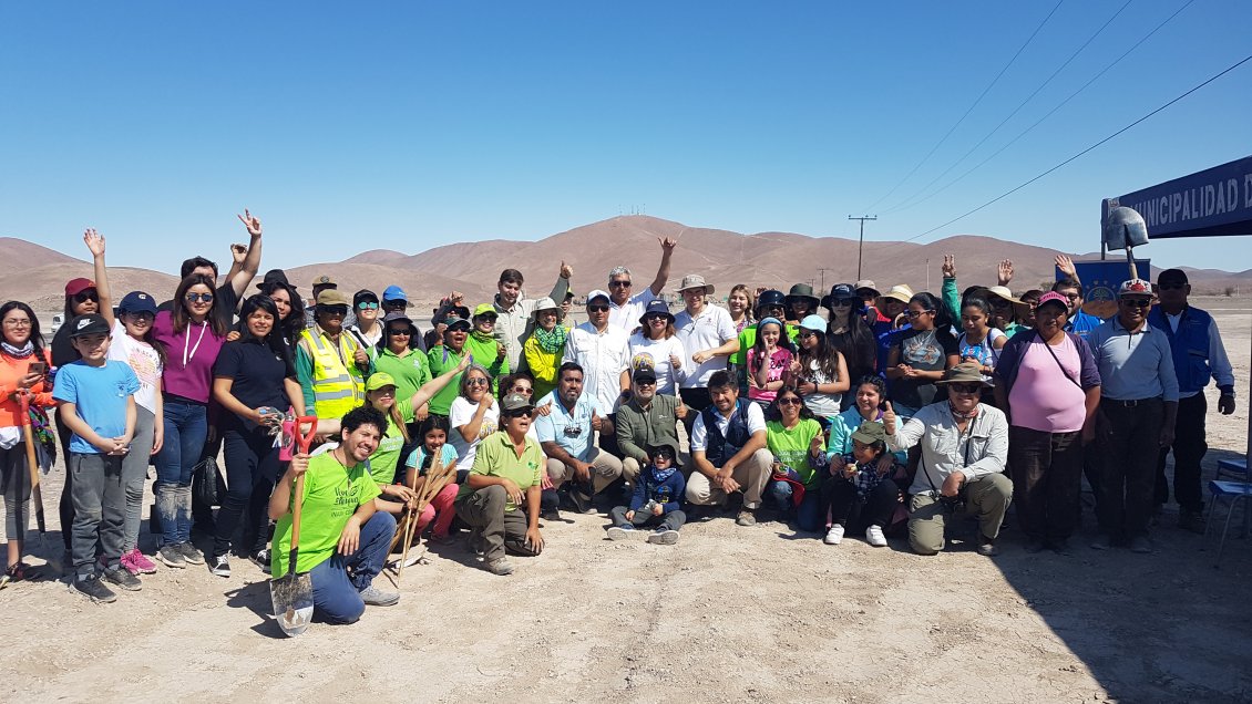 Plantan 400 árboles en la Ruta del Peregrino