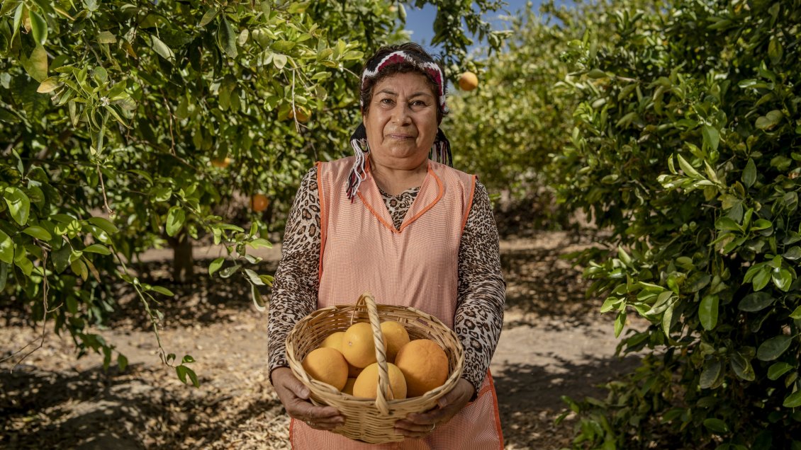 Con plataforma digital buscan potenciar oferta turística del Tamarugal