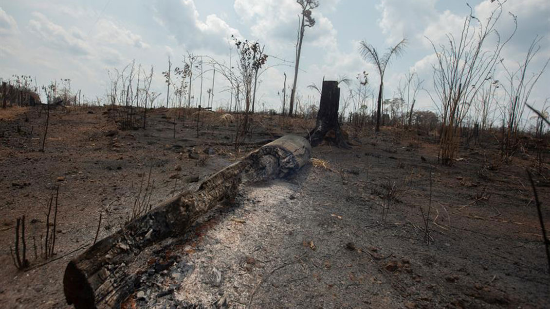 G7 compromete 20 millones de dólares para combatir el fuego en la Amazonía