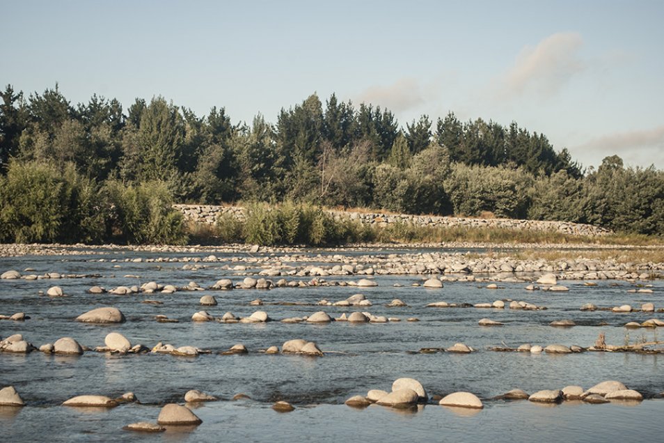 Regantes piden evaluar a la Región de Ñuble como zona de emergencia agrícola