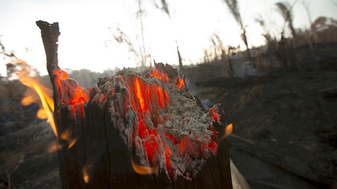 Piñera llega a Paraguay a coordinar ayuda para combatir incendios en la Amazonía