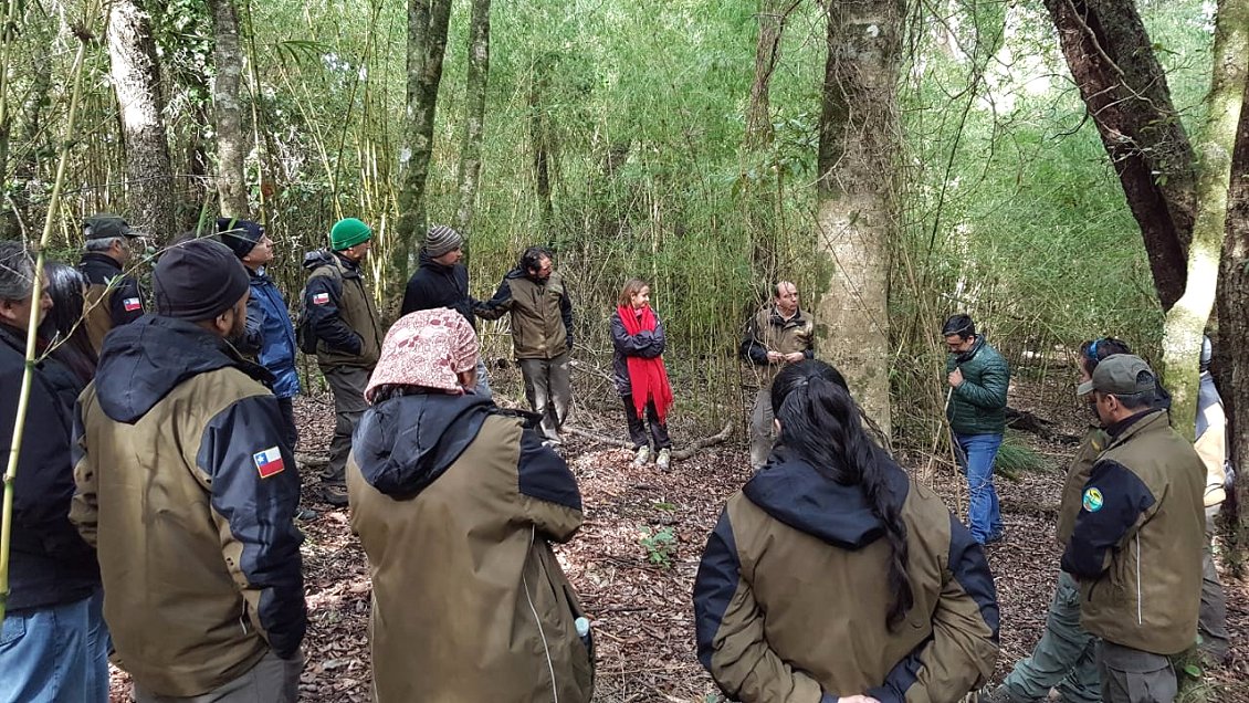 Guardaparques de Conaf recibieron un 