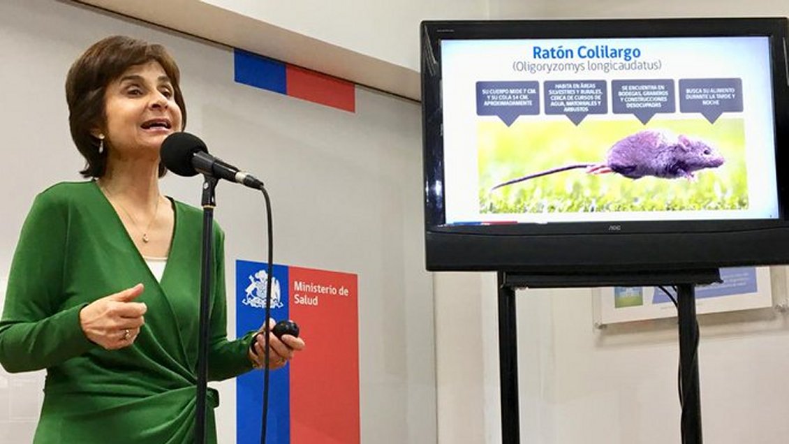 Van 12 fallecidos por contagio de virus Hanta durante el año