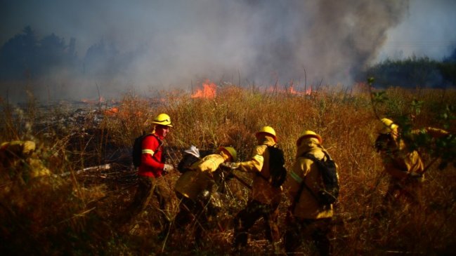 Incendios forestales: Conaf adelanta temporada con 