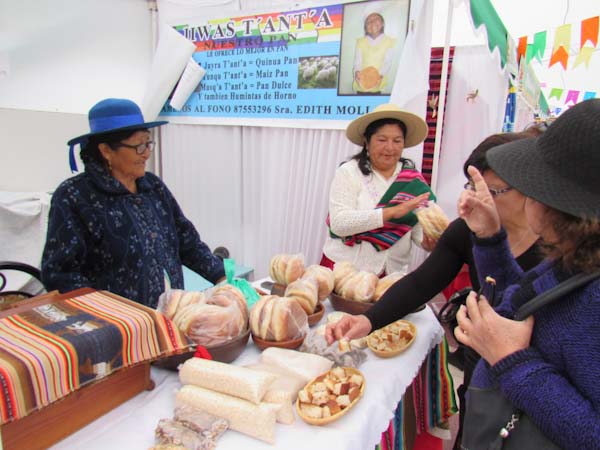 Arica celebrará el Día de la Mujer Andina con el encuentro 