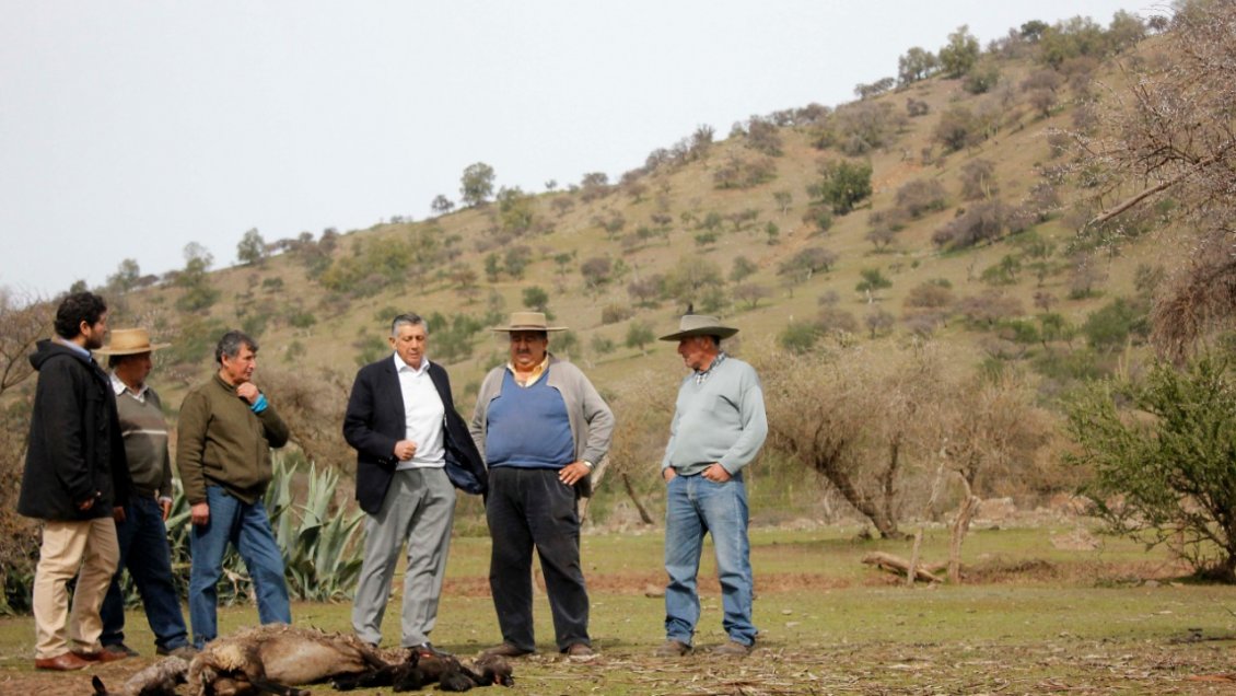 Continúa polémica entre autoridades del Maule a la espera de declaración de emergencia agrícola