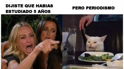 Se descontroló: El meme del gato blanco desatado en la red