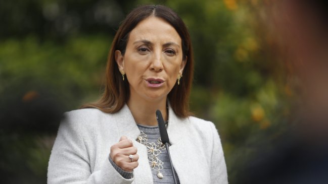 Vocera de Gobierno negó haber planteado 