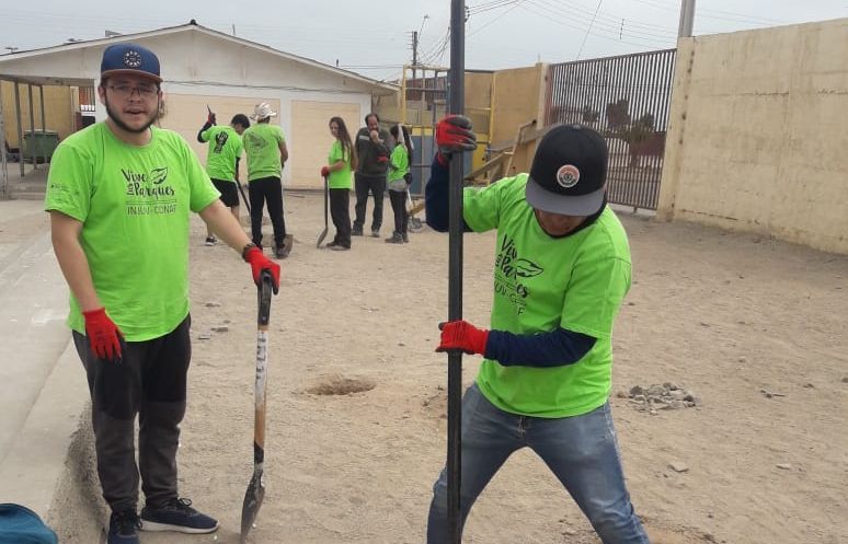 Chañaral: 50 voluntarios plantaron árboles en una población afectada por aluviones