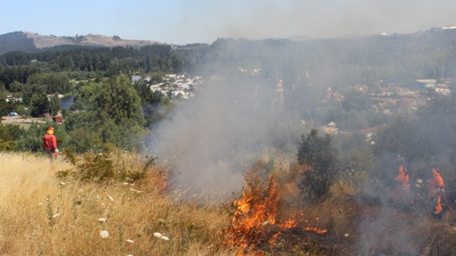 Conaf refuerza prevención de incendios forestales en cinco sectores de interfaz en Ñuble