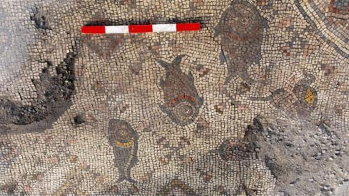 Mosaico hallado en Galilea abre debate sobre el milagro de los panes y los peces