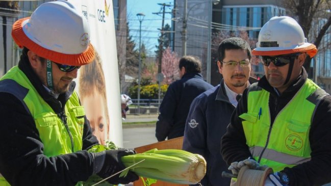 Autoridades de Ñuble llaman a disfrutar tradición del volantín sin usar hilo curado