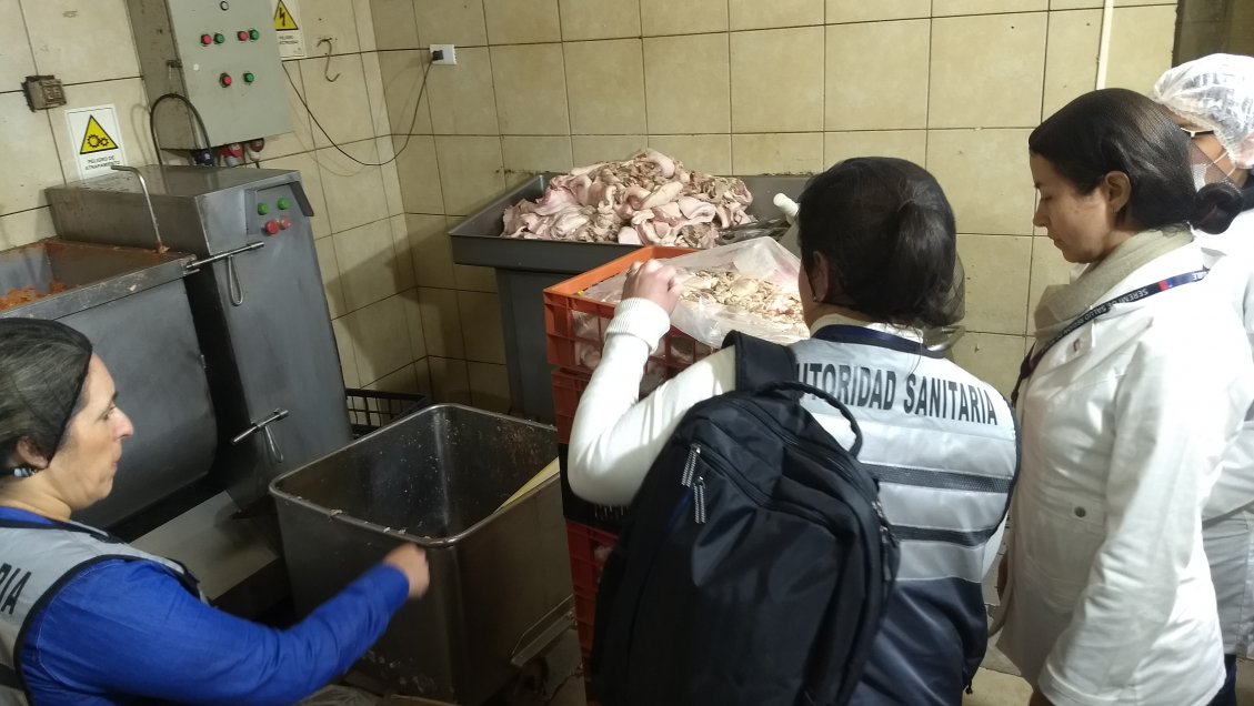 Seremi decomisó una tonelada de carne descompuesta en fábrica de cecinas de San Carlos