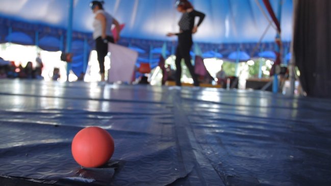 Nace nueva plataforma digital dedicada íntegramente al circo contemporáneo