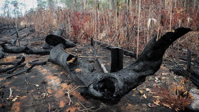 Los ocho puntos clave del 